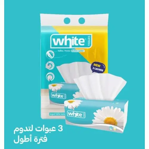 وايت مناديل 500ق